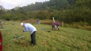 Riparian forest buffer planting