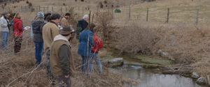 People observe the dirt and debris in Pogue Run stream