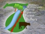 the cover of the book "Bobby's 7 Principles: Selling Riparian Forest Buffers"