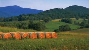A series of hay bales in the sunset