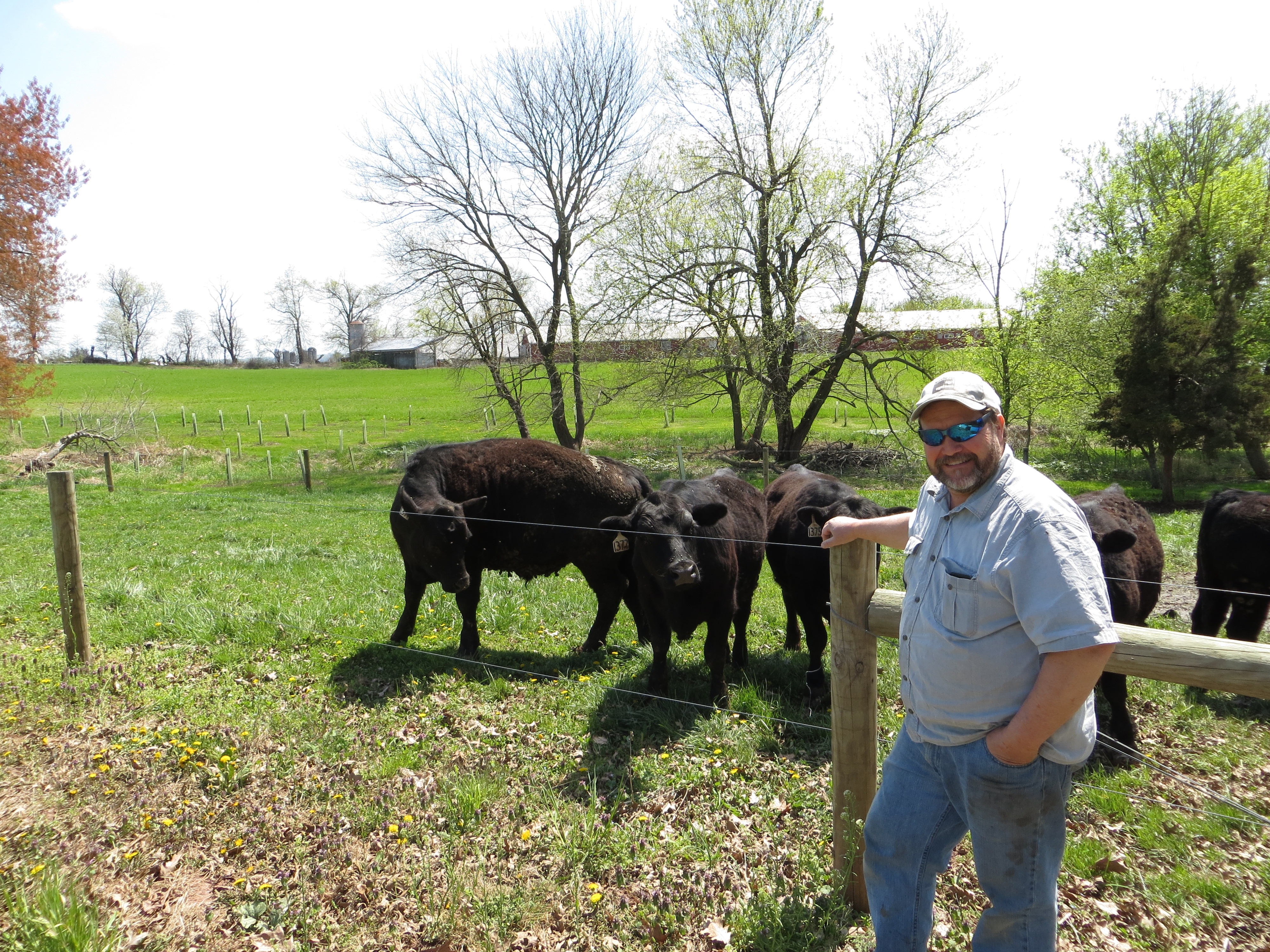 A farmer smiles in front of his cattle.