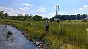A healthy forest buffer in the Upper Susquehanna Watershed
